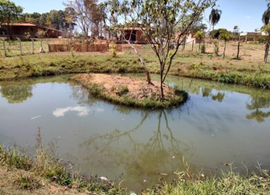 WhatsApp Image 2022-08-27 at 07.26.40