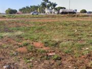 737 lote a venda em Trindade