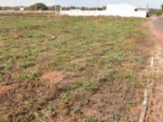 781 lote a venda em Trindade