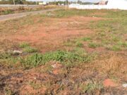 784 lote a venda em Trindade