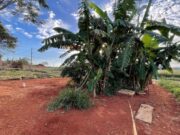 988 casa em Goianira