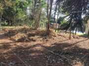 878 chácara em Brazabrantes