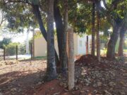 880 chácara em Brazabrantes