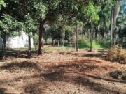 881 chácara em Brazabrantes