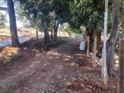 883 chácara em Brazabrantes