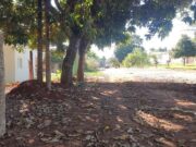 885 chácara em Brazabrantes