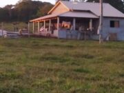 Imagem do WhatsApp de 2023-11-20 à(s) 14.34.58_941bcde6