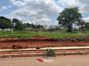 LOTE NO SENADOR CANEDO 2