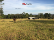 Chácara disponível