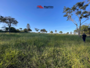 Chácara disponível