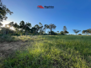 Chácara disponível