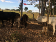 Chácara disponível