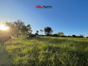 Chácara disponível