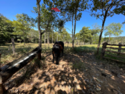 Chácara disponível