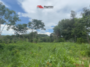 Chácara disponível