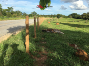 Chácara disponível