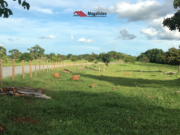 Chácara disponível