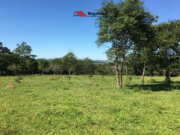 Chácara disponível