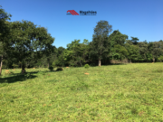 Chácara disponível