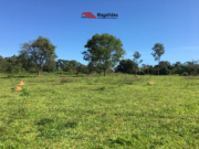 Chácara disponível