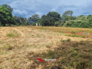 CHÁCARA DISPONÍVEL