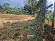 CHÁCARA DISPONÍVEL