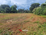 CHÁCARA DISPONÍVEL