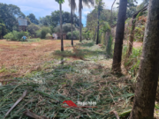 CHÁCARA DISPONÍVEL