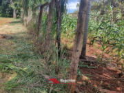 CHÁCARA DISPONÍVEL