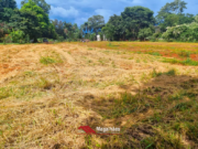 CHÁCARA DISPONÍVEL