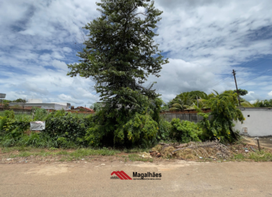lote no setor Padre pelágio