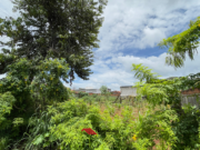 lote no setor Padre pelágio