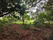 CChácara à Venda – 4.000m² no Setor San Diego