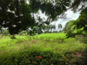 Chácara à Venda – 4.000m² no Setor San Diego