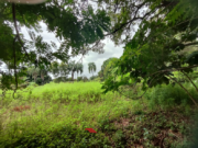 Chácara à Venda – 4.000m² no Setor San Diego