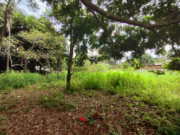 Chácara à Venda – 4.000m² no Setor San Diego