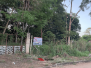 LOTE NO SÃO DOMINGOS