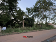 LOTE NO SÃO DOMINGOS